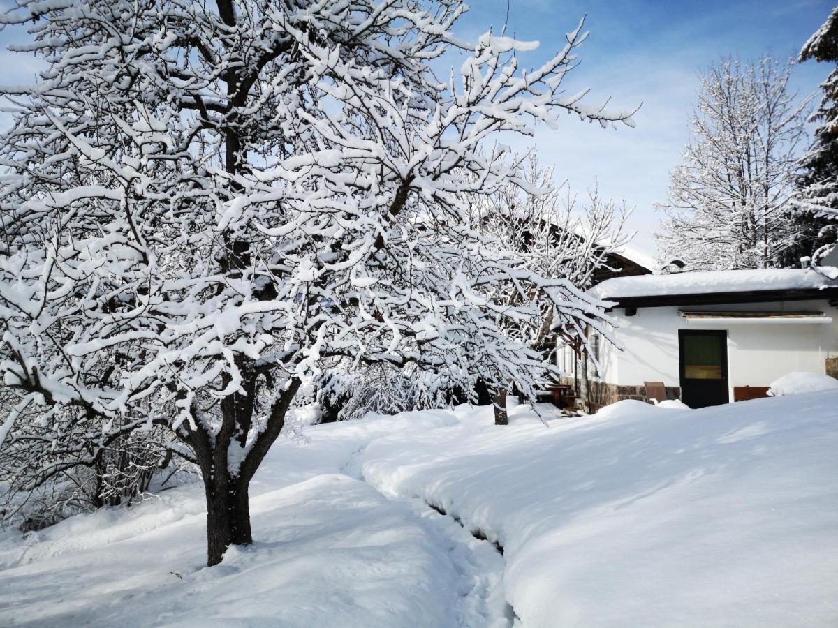 Appartchalet La Rondula Ortisei Exterior foto